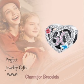 Annmors 925 Sterling Silver Charms 60 Years Love Birthday Charm fit European Bracelets,Number Charms with 5A Cubic Zirconia Christmas Valentine Mother's Day Birthday Gift for Women
