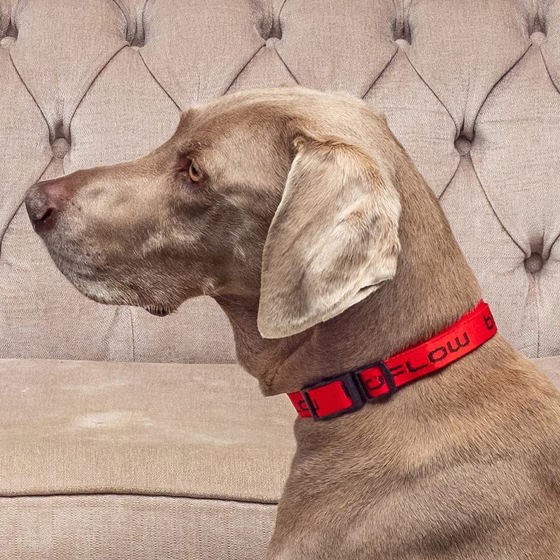 Bioflow Dog Collar Red Small (up to 45cm)