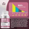 Nad Resveratrol 1500mg Snghwe