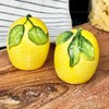 Lemon Salt and Pepper Pots Yellow Ceramic Kitchen Colourful Fruit