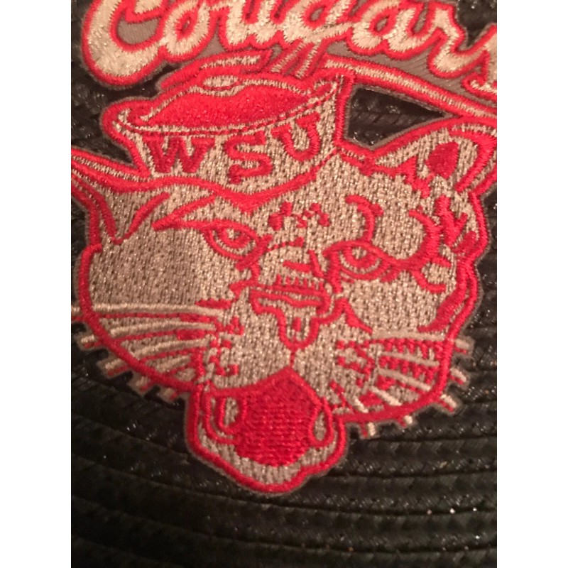 WSU Wazzu Washington State Cougars Vintage Embroidered Iron-On Patch 3”