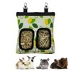 RIOUSSI Guinea Pig Hay Feeder, Hanging Rabbit Hay Feeder Bag
