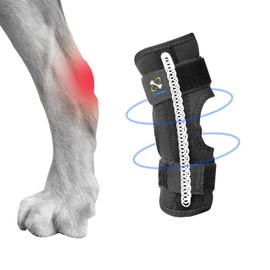 Coodeo Powerful Dog Canine Rear Leg Hock Joint Brace with Metal Spring Strips, Strengthen Support Dog Back Leg Compression Wrap, Help Dogs with Injuries, Sprains, Arthritis, Rheumatism Walk (M, Black)