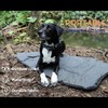 Wicked Pet Dog Travel Mat | Heavy Waterproof Canvas |