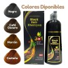 Shampoo Tinte Instantáneo Cubre Canas Natural Jengibre 500ml