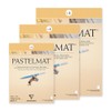 Clairefontaine Pastel Mat 96016C Drawing Pad (12 Sheets, 18 x