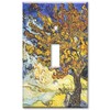 Art Plates - Single Gang Toggle OVERSIZE Switch Plate -