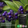 Neo Nutrition Vitex Fruit Supplement - High Potency - |