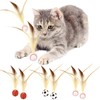 AUNGCSHE Cat Toy, 2025 Cat Toy Ball, Feather Toy for