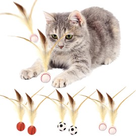 AUNGCSHE Cat Toy, 2025 Cat Toy Ball, Feather Toy for Cats, for Entertainment with Feathers, Play for Indoor and Outdoor Use, Highly Elastic Fun for Cats (6 Pieces)