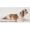 Petio Collar Little Angel My Dog Collar Black for Small