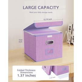 Oterri 2 Pack File Organizer Box,File Box,Small File Cabinet for Letter Folders,Lavender Portable Filing Box,Hanging File Folder Organizer Box with Lid for Office/Decor/Home- without Folders