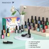 phoenixy Gel Nagellack Set, Phoenixy 21 Farben UV Nagellack Set