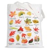 LEVLO - Bolsa de lona con hojas de otoño, diseño