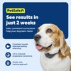 PetSafe Audible Bark Collar - Discourages Excessive Barking - SoundBurst