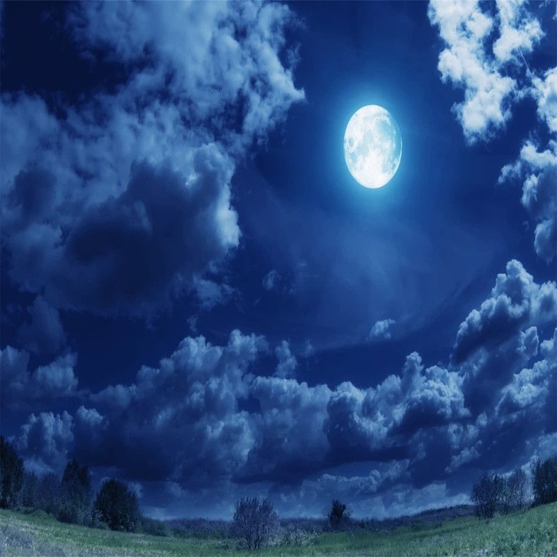 Loccor 5x5ft Fabric Night Sky Backdrop Full Moon Clouds Lawn
