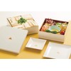 Miyamoto Sangyo 4512951126440 Mt. Fuji Square Plate, White