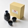 Setomonohonpo Stylish Sake Bottle Set with 10 Colors to Choose