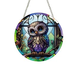 Owl Acrylic Window Hanging,Stained Window Hanging Decor Colorful Ornament,Stained Two-Sided Panel Hangings Decoration,Acrylic Suncatcher for Garden Kitchen Living Room