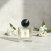 The scent of Daphne in mythology, Fragrance of Cheonri [Western
