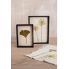 Rayher 27001505 Paper Frame Natural 30 x 21 cm Suitable