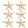 6 Pcs Metal Starfish Hair Clips Sea Star Hair Pins