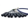 FOWIUNYE 3.28ft DB25 to XLR Snake Cable, DB25 Male to