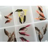 BestCity Fly Fishing Coloured and Natural Diawl Bach 24 Flies