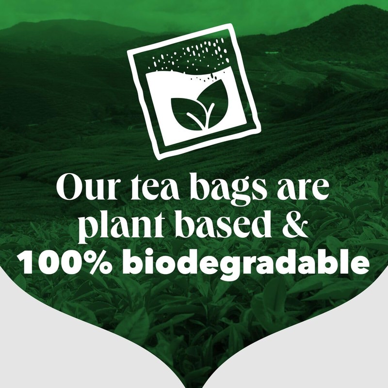 PG Tips Original, Black Tea Bags Bulk, Refreshing, Flavourful &