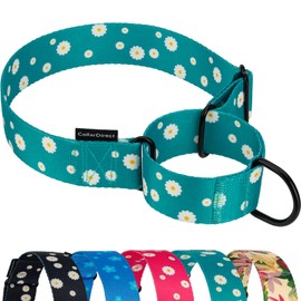 CollarDirect Martingale Collars for Dogs Heavy Duty Floral Pattern Female Safety Nylon Training Wide Collar Floral (Green Daisy, 30-43cm)