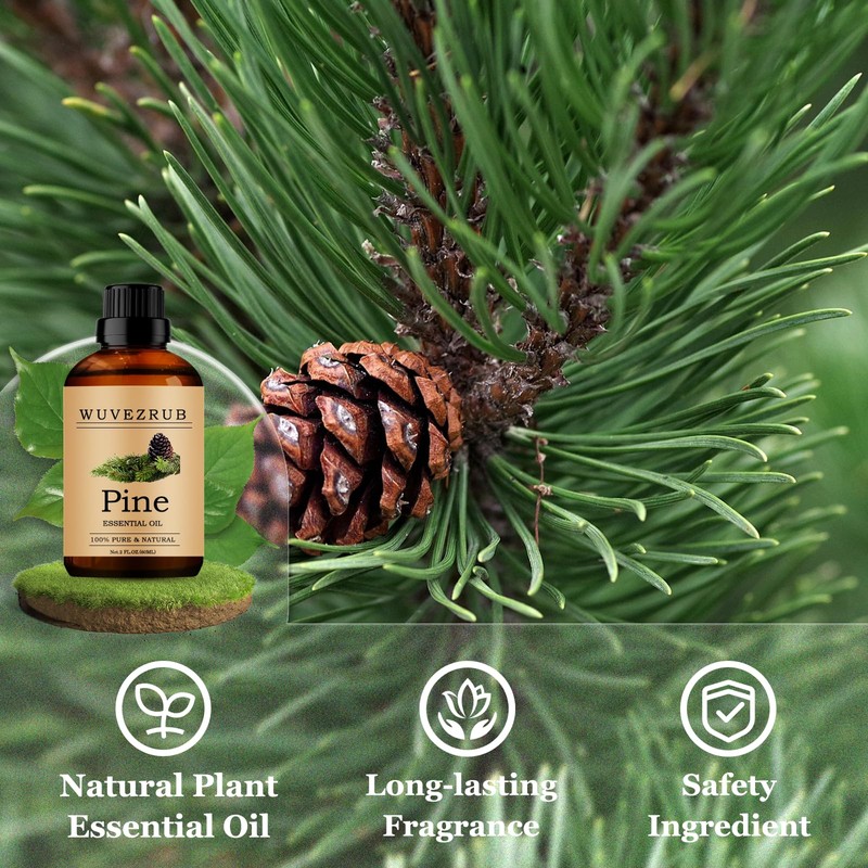 Wuvezrub Pine Essential Oils 60ML, Pure Pine Essential Oil for