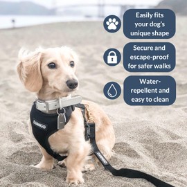 DJANGO Adventure Dog Harness - Stylish and Comfortable Large Dog Harness for Outdoor Adventures and Everyday Wear - Black Neoprene Adjustable Harness for Dogs with Reflective Piping and Brass D-Ring