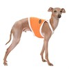 D Doggy Star Italian Greyhound Clothes Summer Cooling String Sleeveless