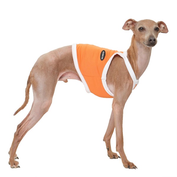 D Doggy Star Italian Greyhound Clothes Summer Cooling String Sleeveless