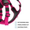 BullyBillows Hurricane Harness | Non-Restrictive Dog Harness | Made With