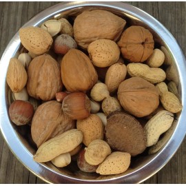 Higgins parrot boca nuts treats Macaws Mixed Nuts in Shell Pecans Almond Brazil - Boca Nuts in shell 2lb