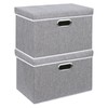 Yawinhe Storage Box with Lids 2 Pack, Collapsible Clothing Shelf