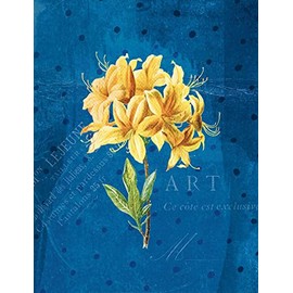 Die Gärten der Künstler Großes Notizheft Motiv Gelbe Orchidee: Format Din A5