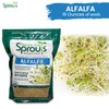 Nature Jims Sprouts alfalfa Seeds – 16 Oz Organic Sprouting