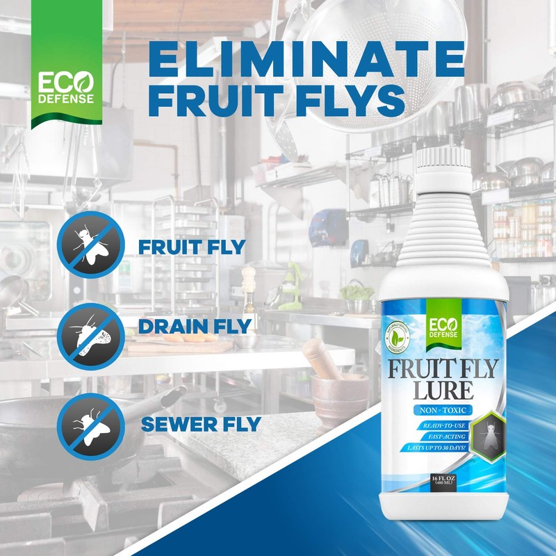 Eco Defense Fruit Fly Killer – Natural Fruit Fly Trap