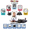 Pillow Pets How to Train Your Dragon Toothless Plush -