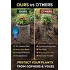 GISSAN Gopher Baskets for Plants – 5 Gallon Root Guard
