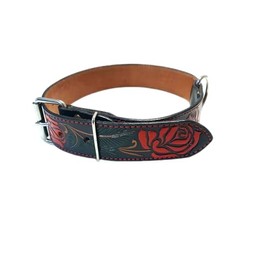 Dog Collar XXL 19-25 Inches