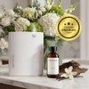 Santal – Esencia para Difusor Profesional 120 ML | Aroma