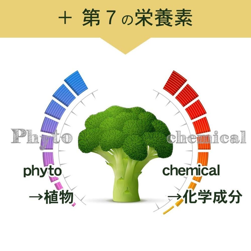 リプサ スルフォラファン 約3か月分×2袋 C-3100-2 (180カプセル×2袋) サプリメント 大容量 おまとめ エコパック 国内製造