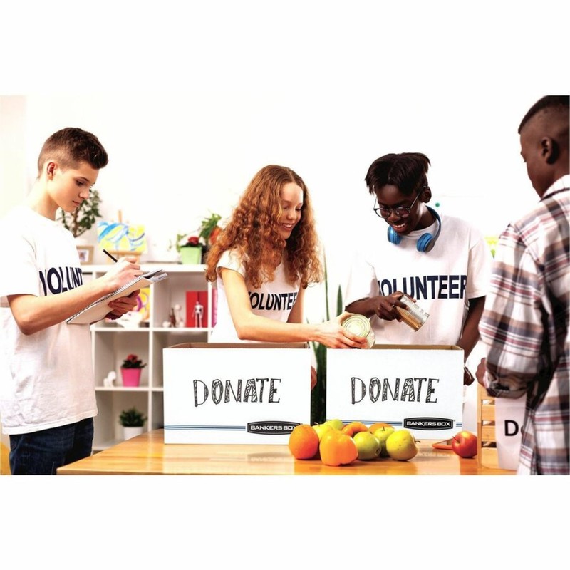 Bankers Box Stor/File Storage Case, 10.5" x 12.5" x 16.3",