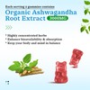 2 Pack Ashwagandha Gummies with Turmeric GABA Mood Energy and