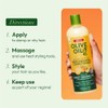 ORS Olive Oil Creamy Aloe Shampoo & Replenishing Conditioner with