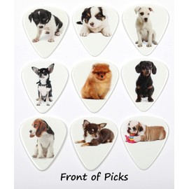Tin of 9 Puppy Guitar Plectrums - Harmony Picks