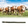 Qcwwy Cow Collar, Adjustable 4-Layer Canvas Calf Collar, Tie, Cattle